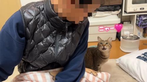 ニャー
