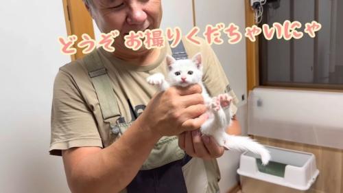 どうぞ