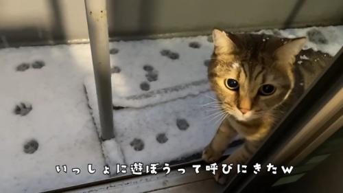一緒に遊ぼう