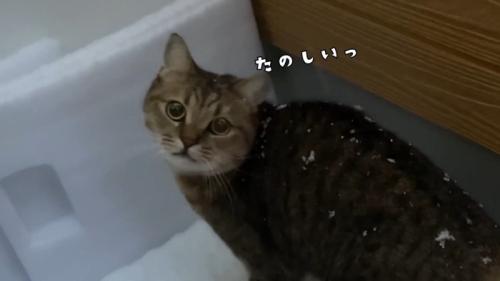 たのしいっ