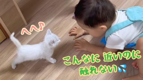 こんなに近いのに