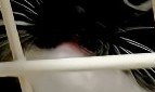 緩んだ口元