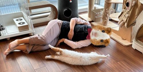 寝転ぶ人と猫