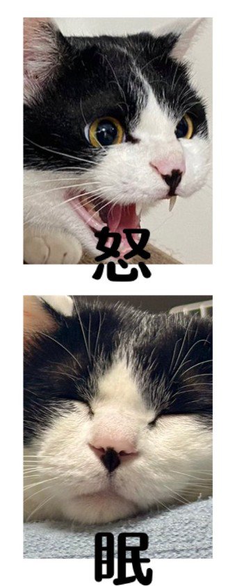 怒と眠