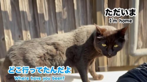 ただいま