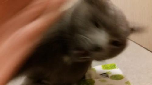 激しいパンチ