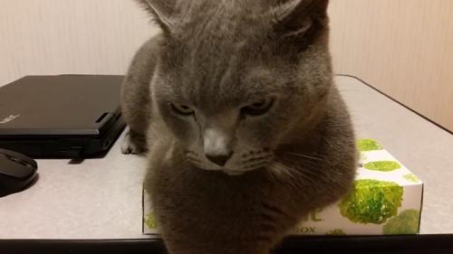アップ