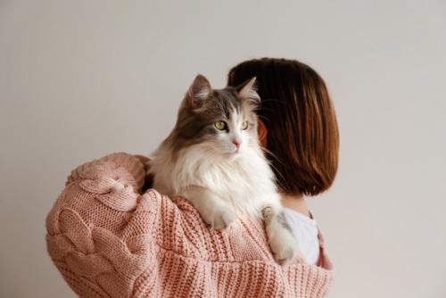 女性の肩に乗っている猫