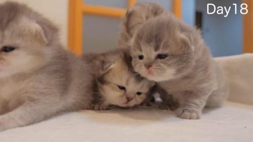 歩こうと