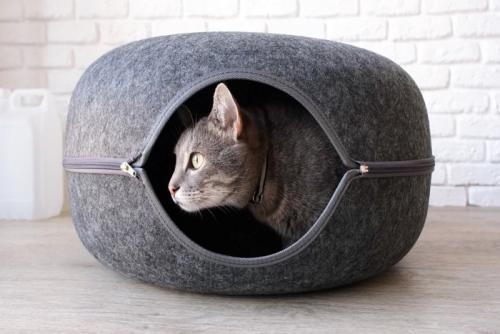 隠れ家に身を潜める猫