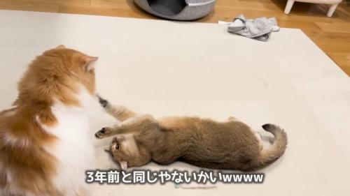 3年前と同じ