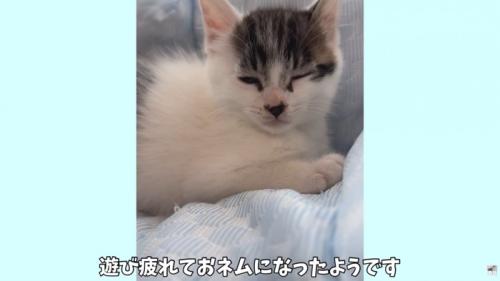 テロップ「遊び疲れて～」