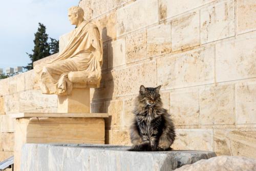 古代の彫像の横に座る猫