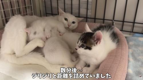 テロップ「数分後..」