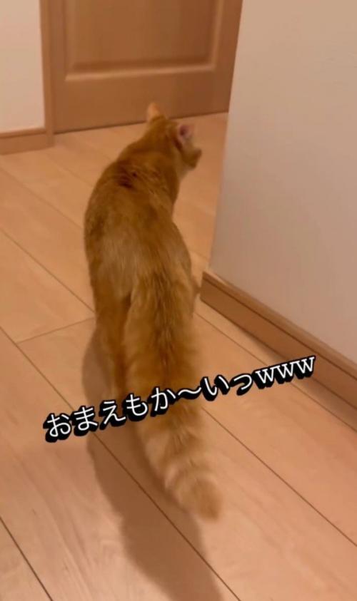 「おまえもかーい」と書かれた写真