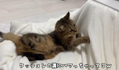 溝にはまってしまったみにらくん