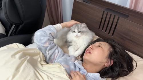 頭をなでなで