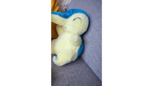 ぬいぐるみ