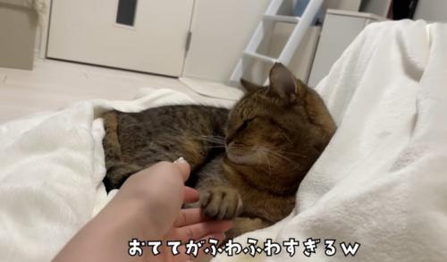ふわふわの手をいじられるみにらくん