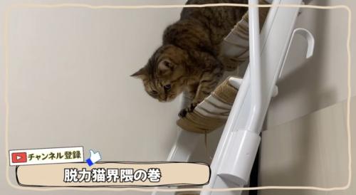 はしごを降りるみにらくん