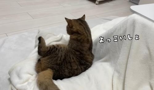 座りなおすのに成功したみにらくん