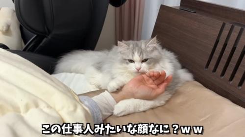 仕事人みたいな顔