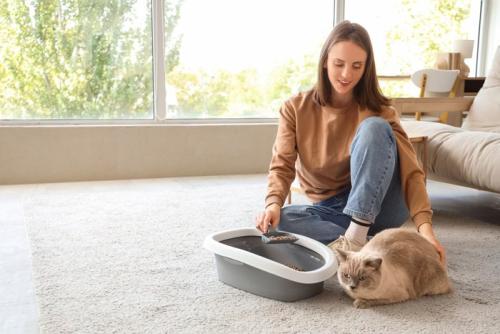 トイレ掃除する女性と猫