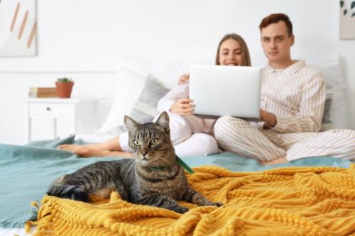 男女の飼い主のそばにいる猫