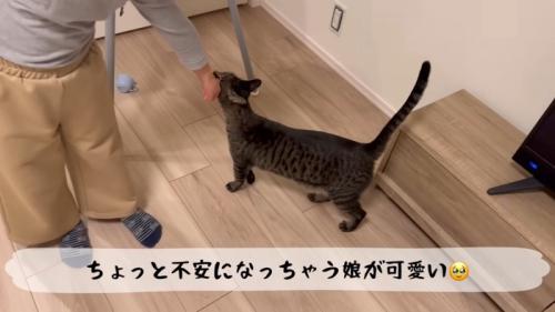 テロップ「ちょっと不安になっちゃう」