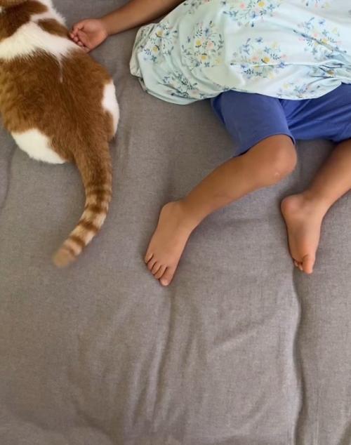男の子の隣に座る猫
