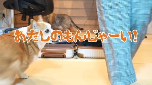 あたしの