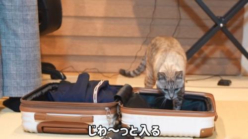 じわ〜っと