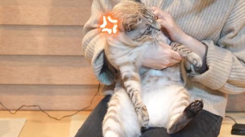 抱っこ