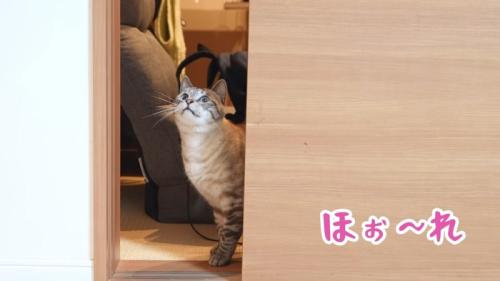 ほぉ〜れ
