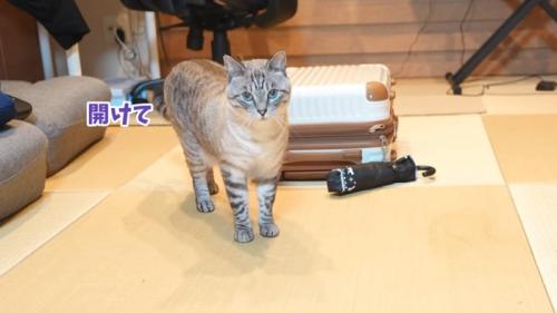 開けて