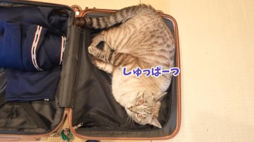 しゅっぱーつ