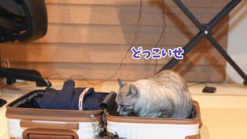 どっこいせ