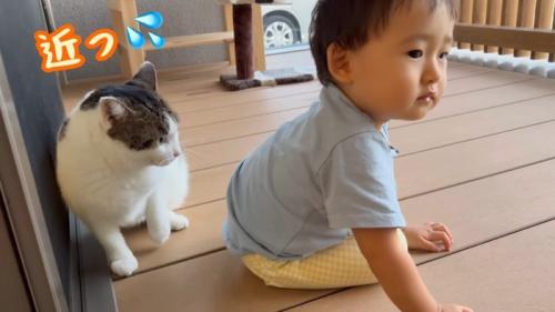近っ