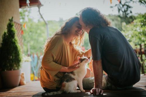 猫と夫婦