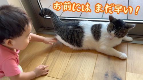 まだ早い！