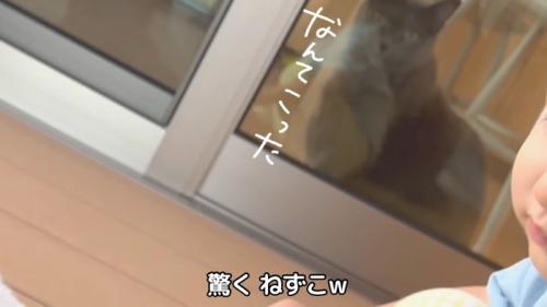 なんてこった