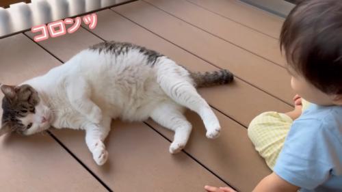 コロンッ