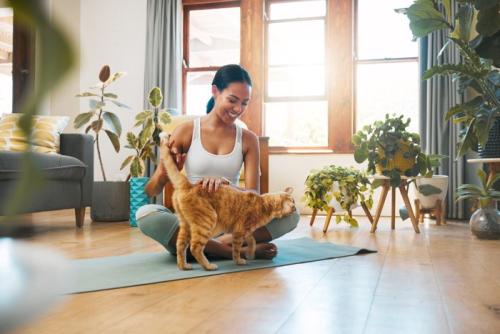 女性と猫