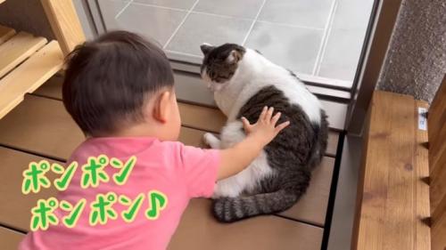 ポンポン