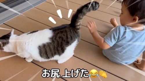 お尻上げた