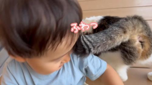 ふわっ