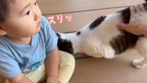 スリッ