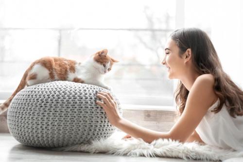 クッションの上の猫と向き合う女性