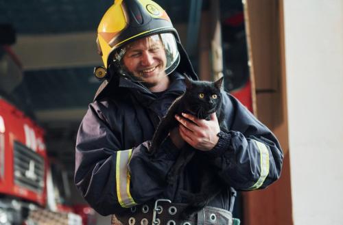 猫を抱く消防士