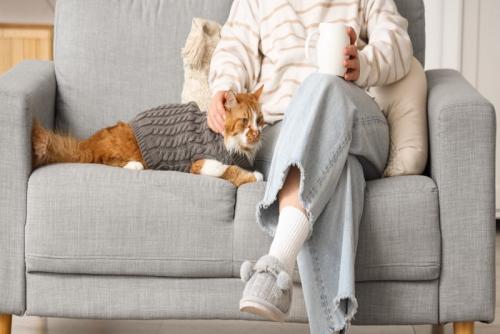ソファに座る人とニットを着た猫